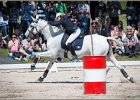 Pferd International 163
